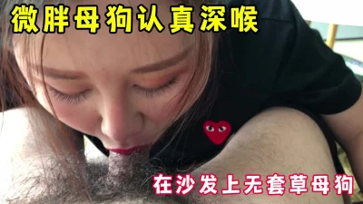 [原创]微胖母狗认真的给我深喉，按在沙发上爆草，完整版看简界